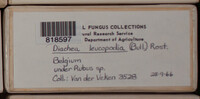 Image Associated With the Occurence